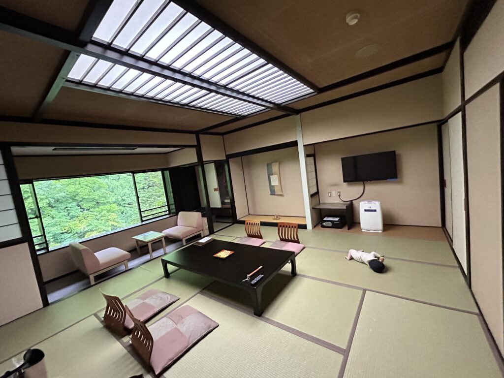 広いお部屋にToyが転がっています(笑)