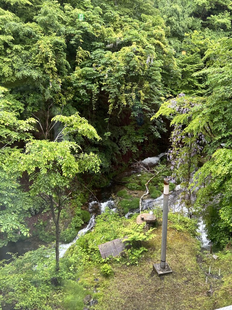 窓から清流が見えました